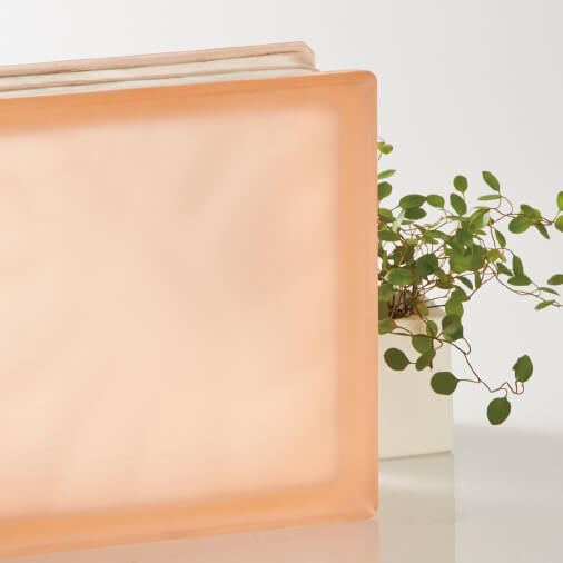 サハラシリーズ